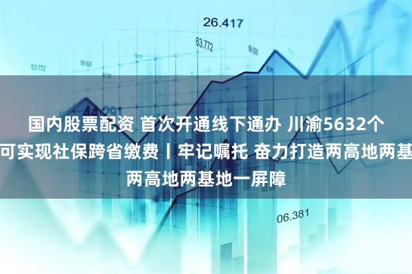 国内股票配资 首次开通线下通办 川渝5632个银行网点可实现社保跨省缴费丨牢记嘱托 奋力打造两高地两基地一屏障