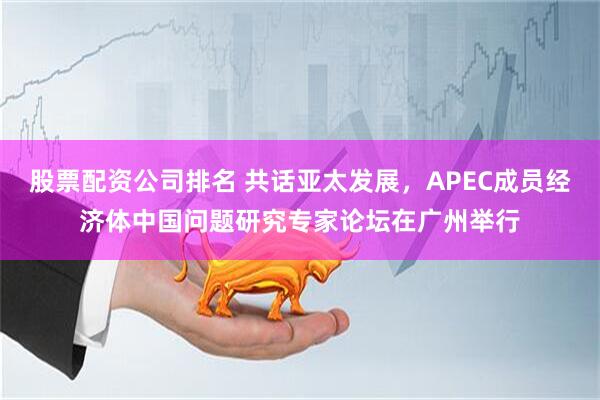股票配资公司排名 共话亚太发展，APEC成员经济体中国问题研究专家论坛在广州举行